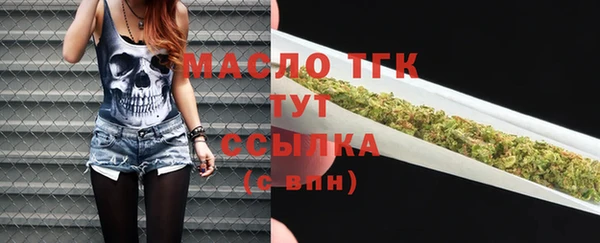 экстази Ельня