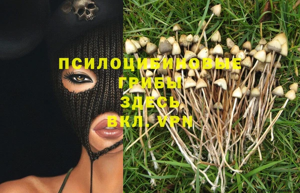 COCAINE Елабуга
