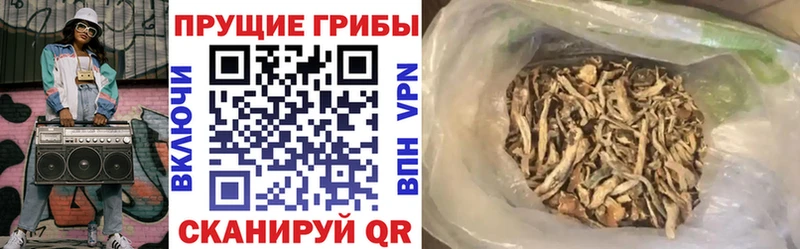 Псилоцибиновые грибы мухоморы  Купить  Инсар 